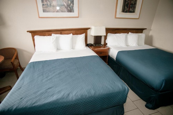 Pacific Inn image 12