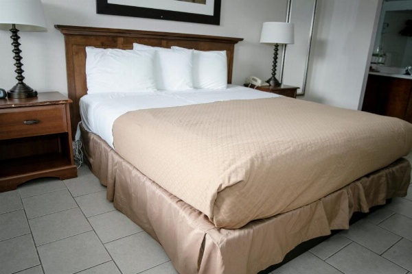 Pacific Inn image 20